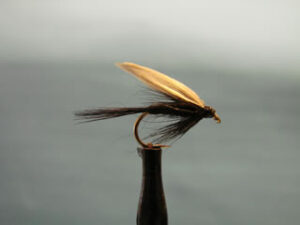 Moscas humedas varios modelos marca fc