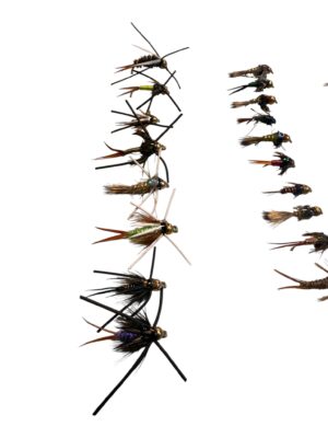 Combo 36 ninfas 3-2026-3 web