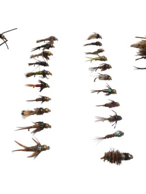 Combo 36 ninfas 3-2026-4 web