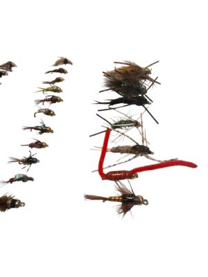 Combo 36 ninfas 3-2026-5 web