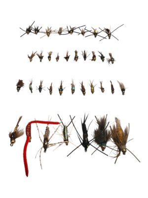 Combo de 36 ninfas mas caja