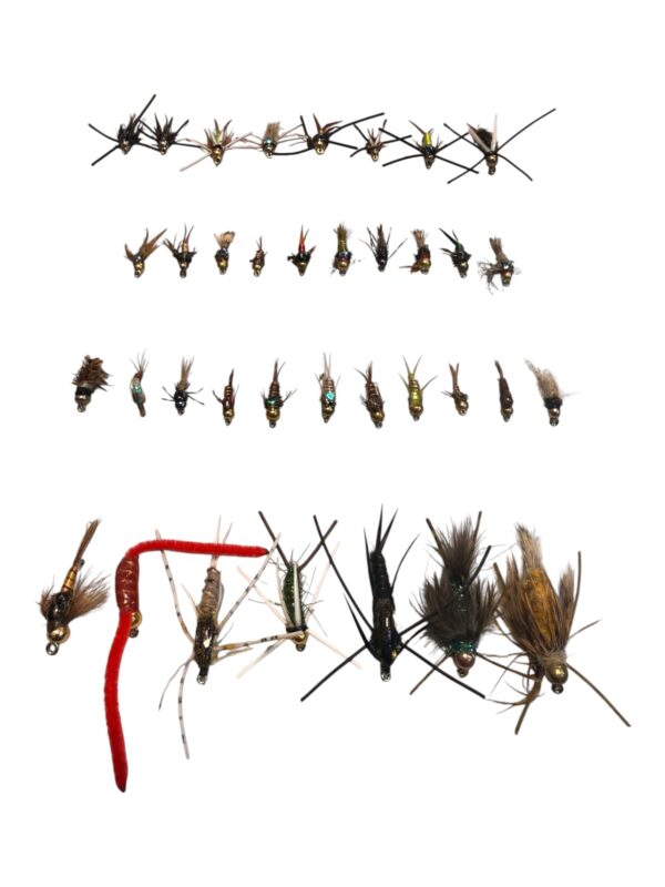 Combo 36 ninfas 3-2026-6 web