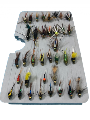 Combo de 36 ninfas mas caja