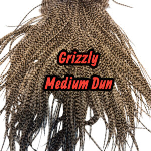 Grizzly Medium Dun-Photoroom