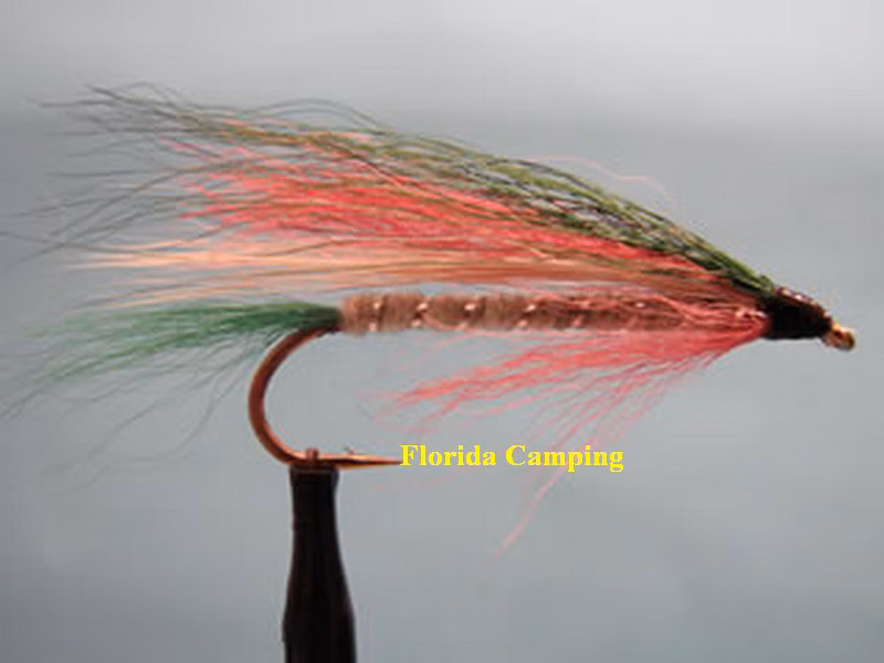Little rainbow trout