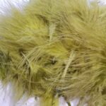 Marabou marca reptilius