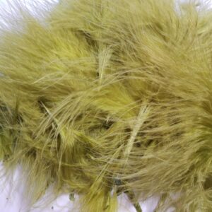 Marabou marca reptilius