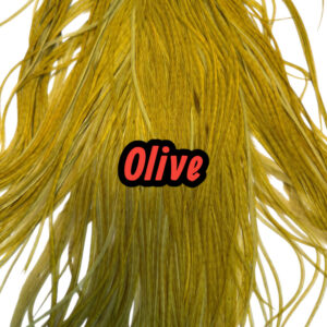 Olive-Photoroom