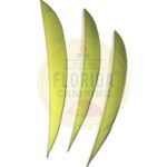 Plumas naturales para flechas marca ozark
