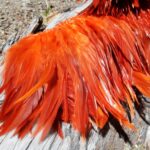 Strung saddle marca reptilius