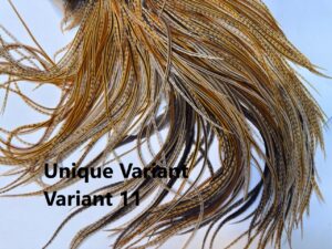 UNique Variant Variant 11-con nombre