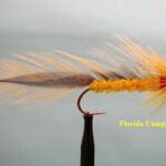 Mosca matuka marca mmm