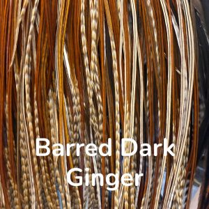 Barred Dark Ginger 1000