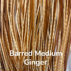 Barred Medium Ginger 1000