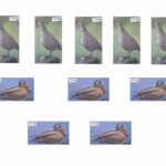 Blanco para arquería 2d marca qtarget