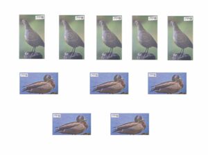 Blanco para arquería 2d marca qtarget