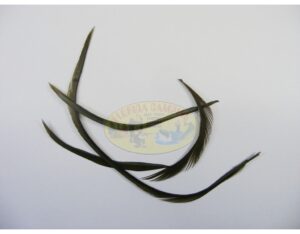 Biots de ganso marca big valley