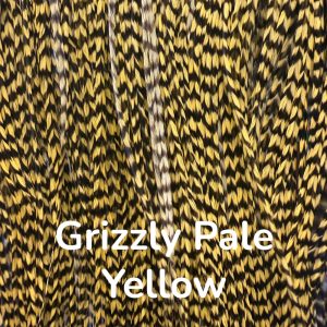 Plumas Grizzly Pale Yellow 7-2026-4