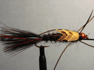 Mosca rubber woolly bugger bead head black kaufmanns stone marca mmm