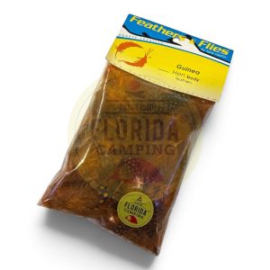 Plumas de guinea naranja FC