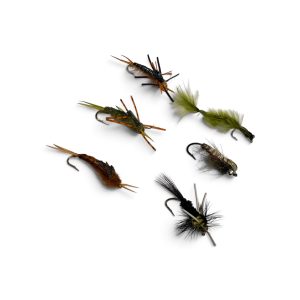 Ninfas Premium V6-2